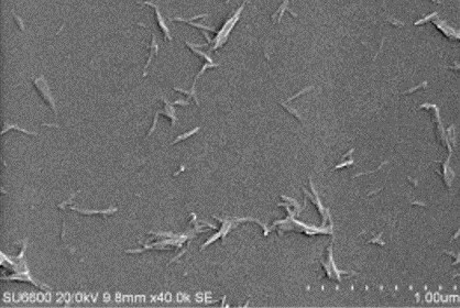 Bilde av nanocellulose-krystaller tatt med elektron mikroskopi.