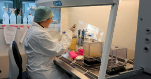 Forskar ved STAMI i laboratoriet, arbeider med å eksponere ein cellekultur med ein pipette.