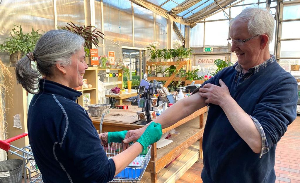 Forsker Anne Straumfors tar prøver fra huda på armen til gartner Kåre Mathisen, med en bomullspinne.