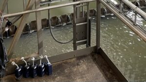 Bildet er fra et renseannlegg hvor man ser avløpsvann og prøveutstyr.